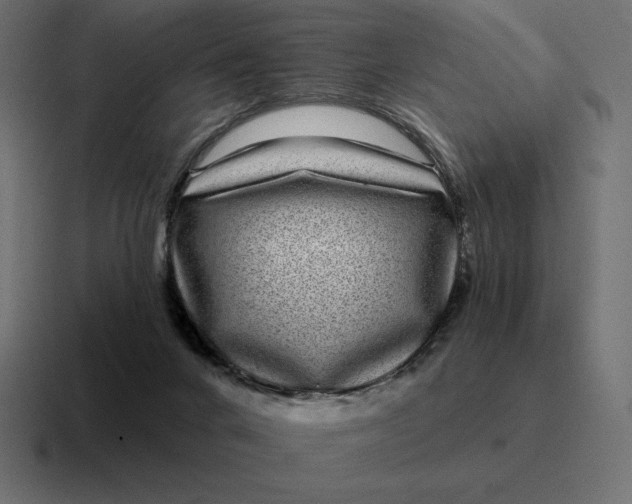 X0000116810024200912312004