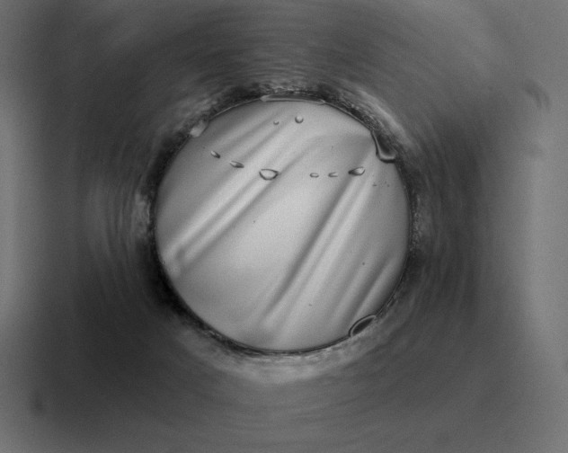 X0000116810025200912312004