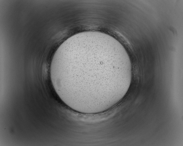 X0000116810026200912312004