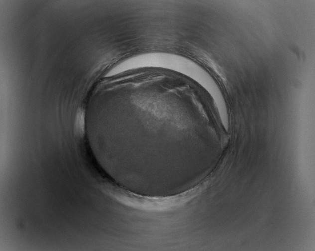 X0000116810027200912312004