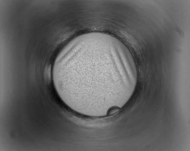 X0000116810028200912312004