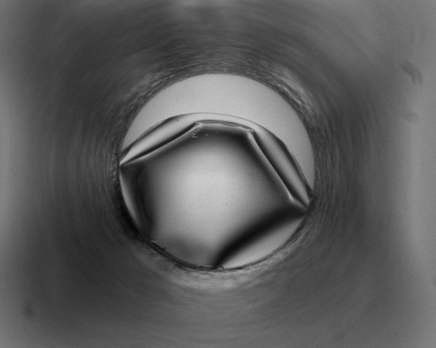 X0000116810029200912312004