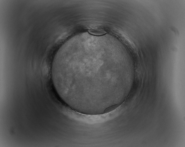 X0000116810031200912312004