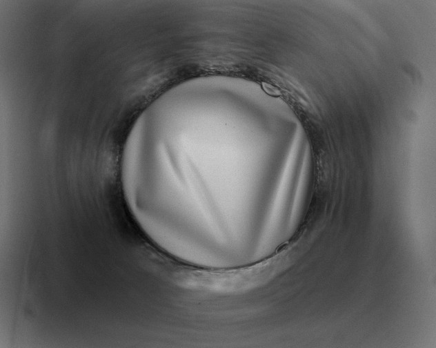 X0000116810033200912312004