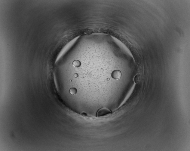 X0000116810038200912312004