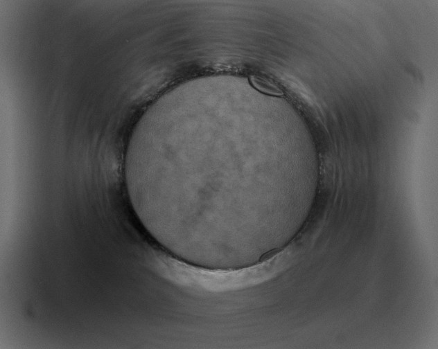 X0000116810039200912312004