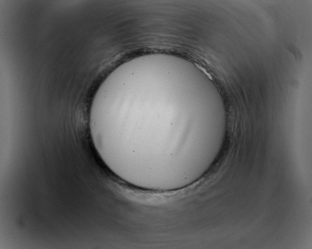 X0000116810040200912312004