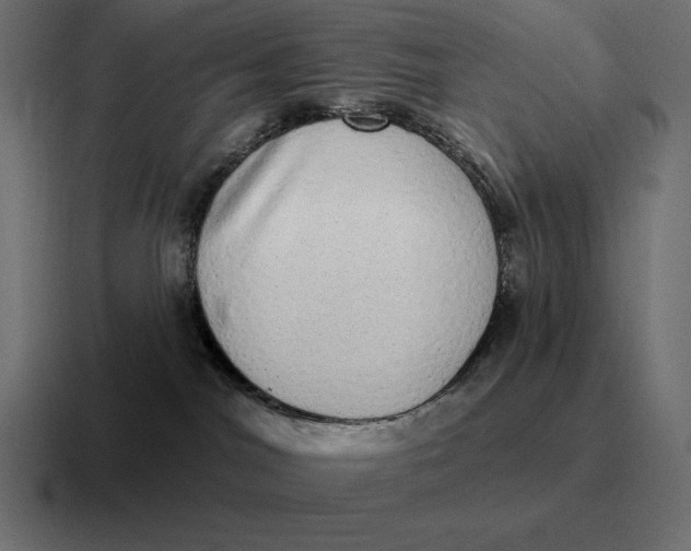 X0000116810044200912312004