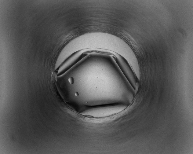 X0000116810045200912312004