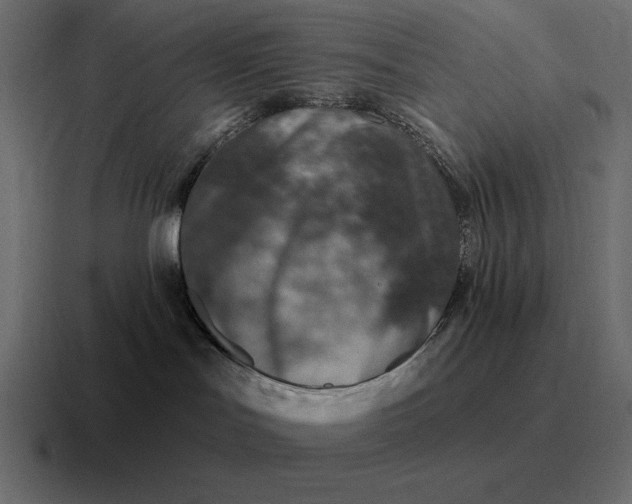 X0000116810047200912312004