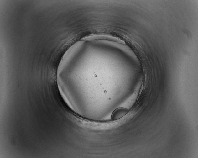 X0000116810048200912312004