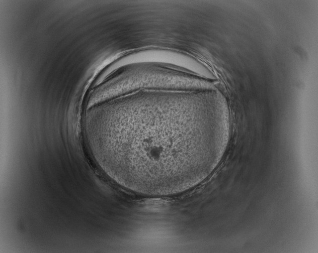 X0000116810050200912312003