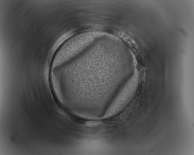 X0000116810051200912312003