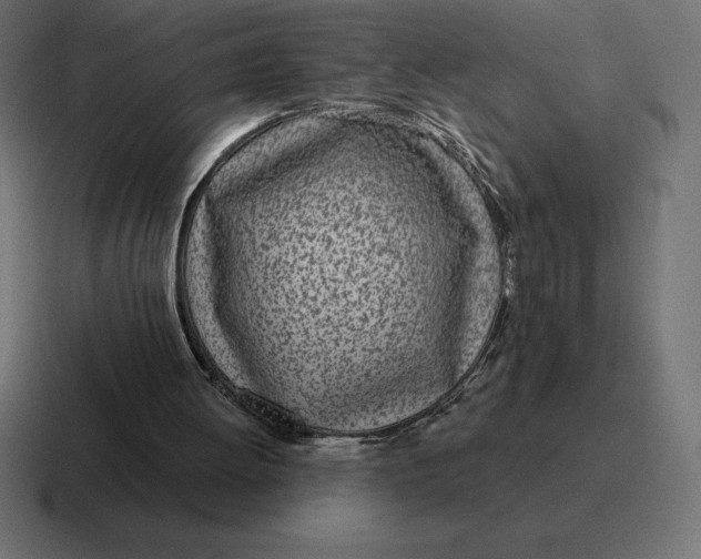 X0000116810052200912312004