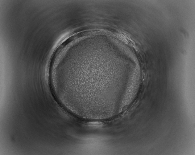 X0000116810053200912312004