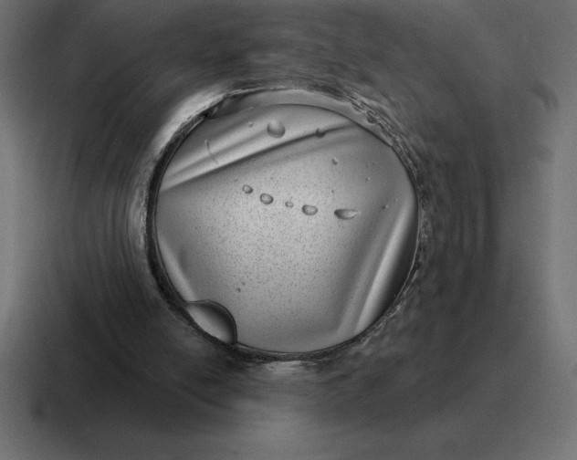 X0000116810054200912312004