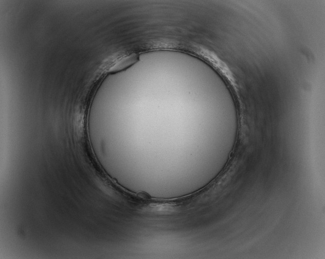 X0000116810057200912312004