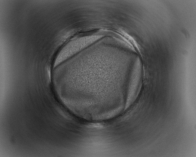 X0000116810061200912312004