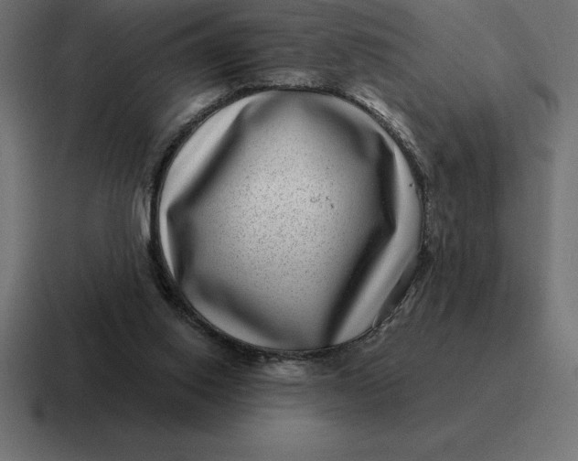 X0000116810062200912312004