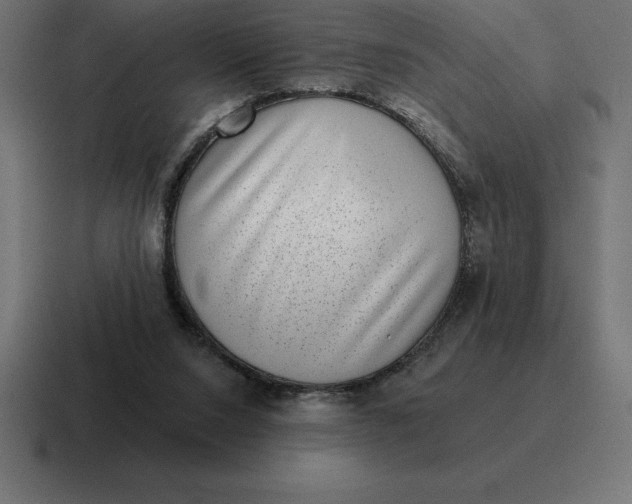 X0000116810064200912312004