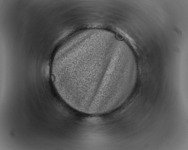 X0000116810067200912312004