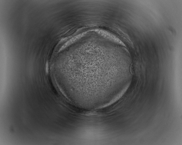 X0000116810075200912312004