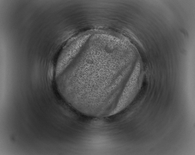 X0000116810076200912312004