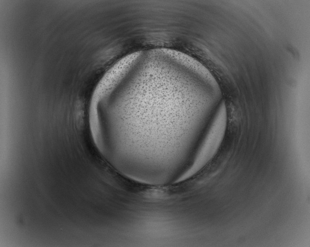 X0000116810080200912312004