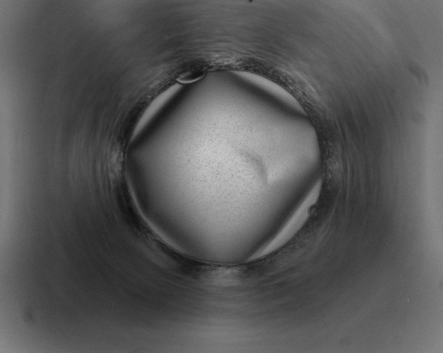 X0000116810081200912312004