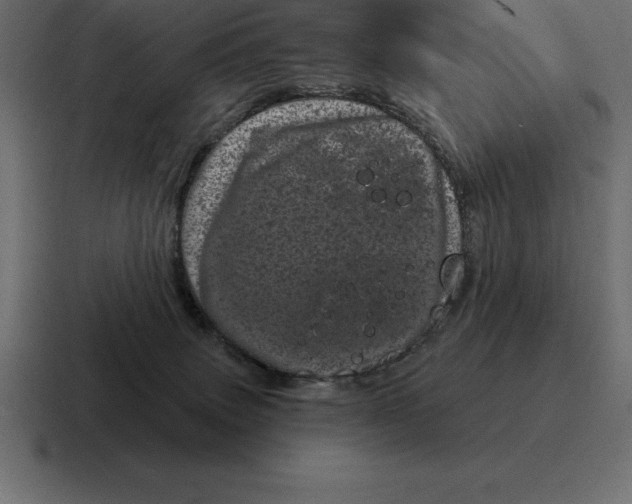 X0000116810083200912312004