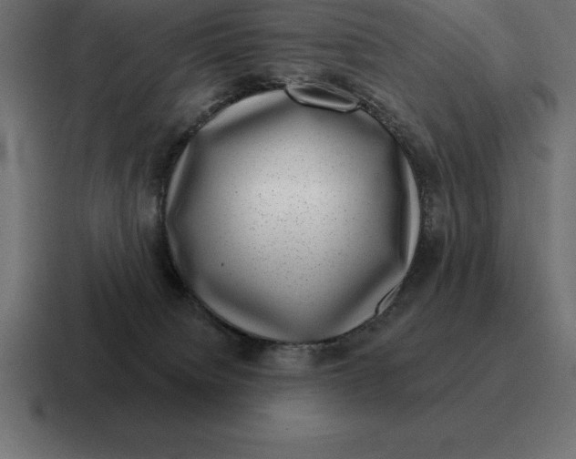 X0000116810084200912312004