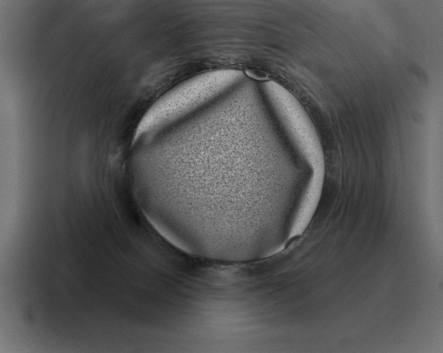 X0000116810086200912312004