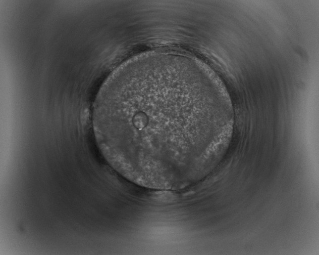 X0000116810087200912312004