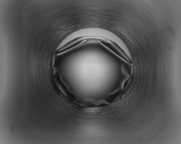 X0000116810088200912312004