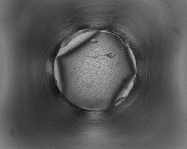 X0000116810089200912312004