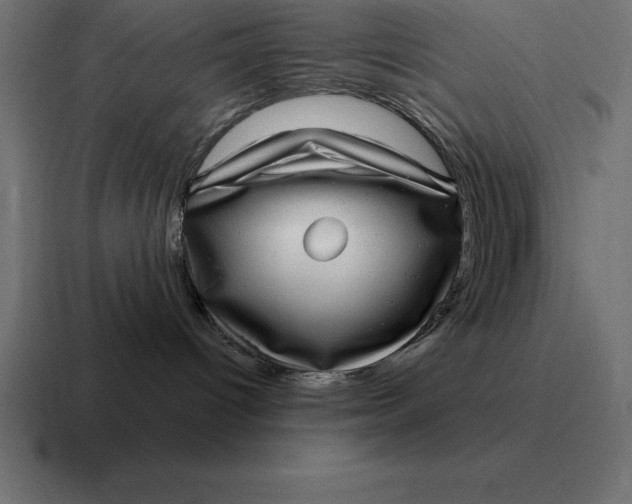 X0000116810096200912312004