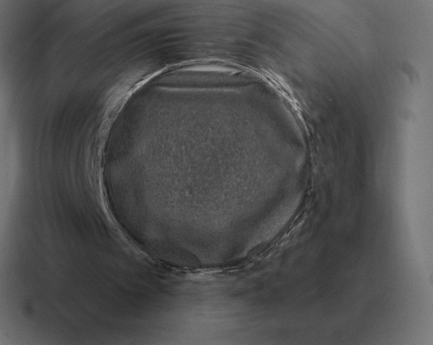 X0000116810097200912312003