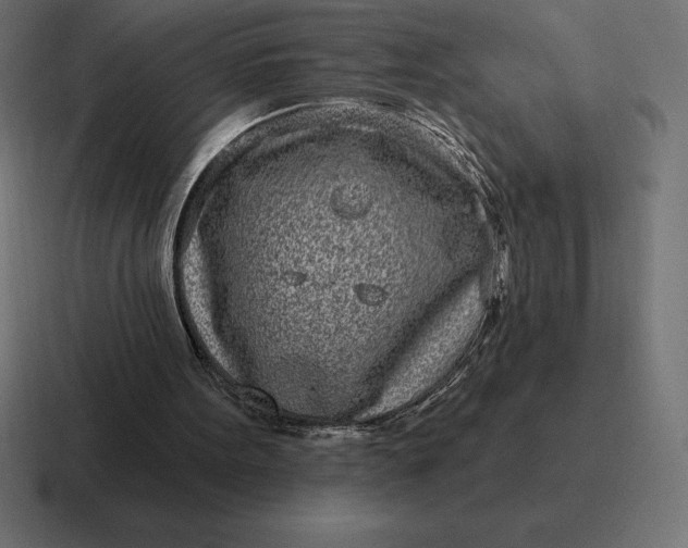 X0000116810099200912312003