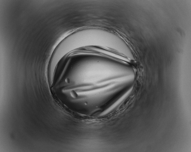 X0000116810100200912312003