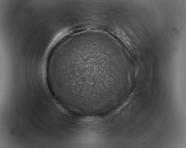 X0000116810101200912312003