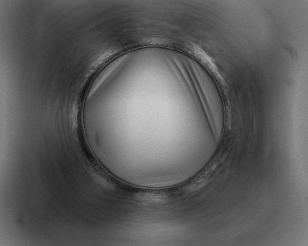 X0000116810106200912312003