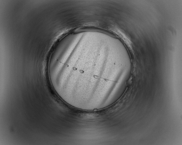 X0000116810107200912312003