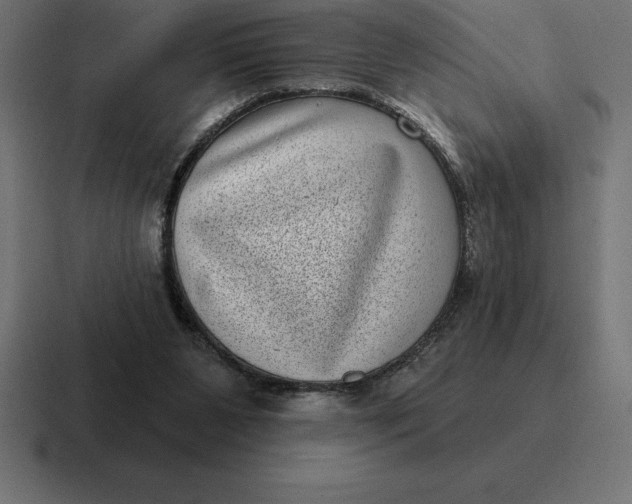 X0000116810111200912312003