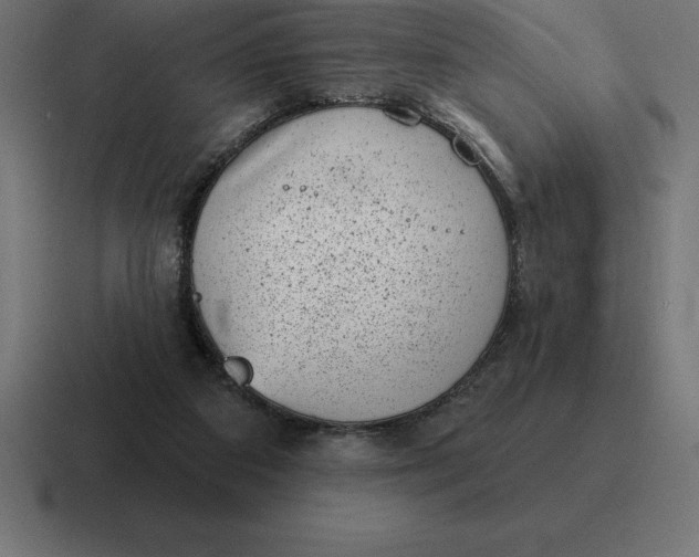 X0000116810113200912312003