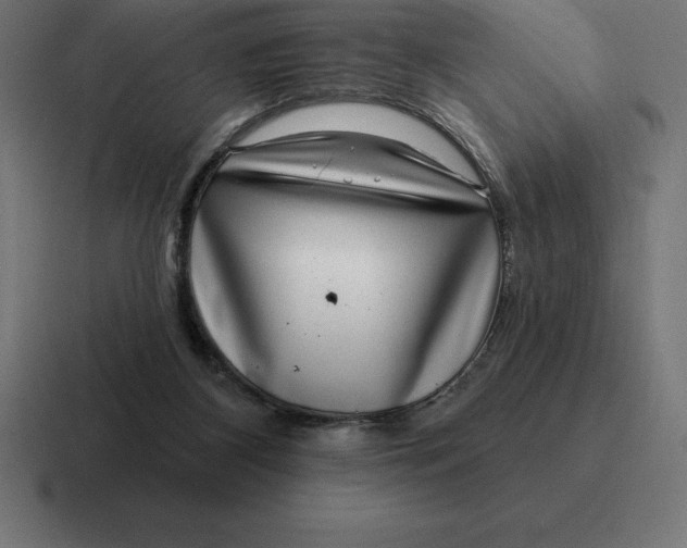 X0000116810116200912312003