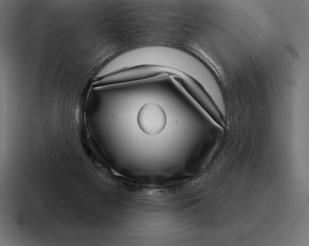 X0000116810117200912312003