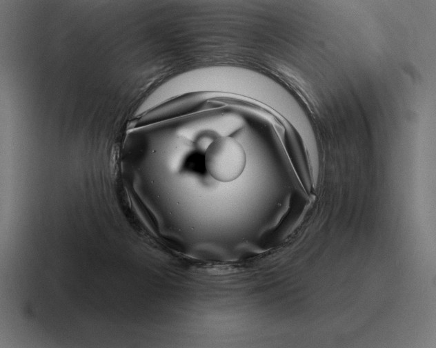 X0000116810121200912312003