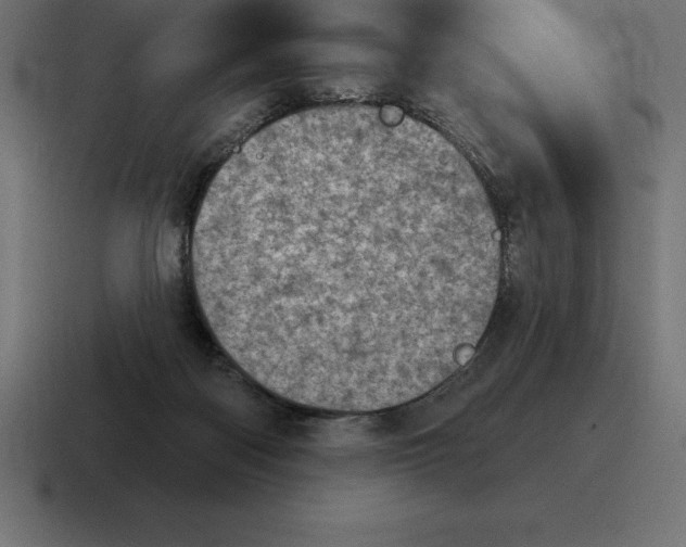 X0000116810122200912312003