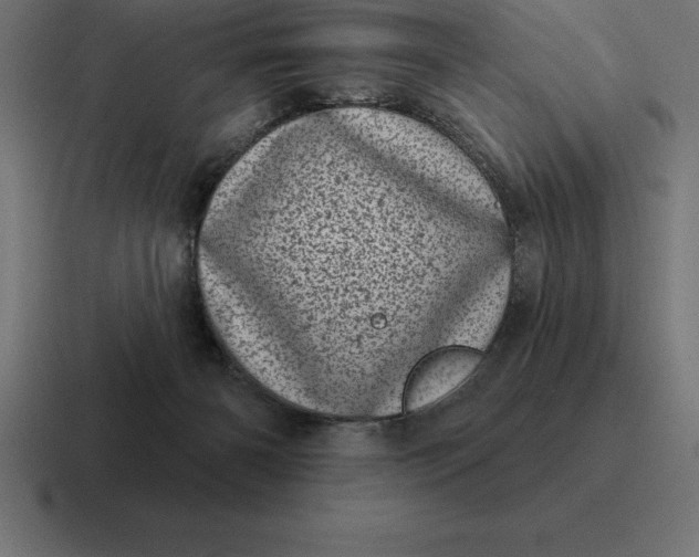 X0000116810126200912312003