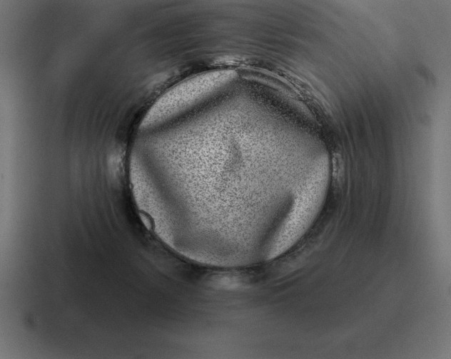 X0000116810127200912312003